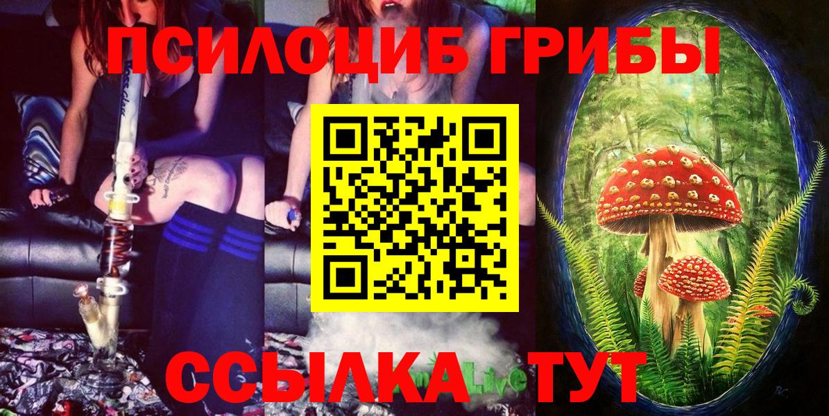 Псилоцибиновые грибы Cubensis Бугуруслан